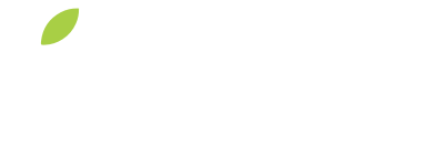 Arvore Puerto Vallarta